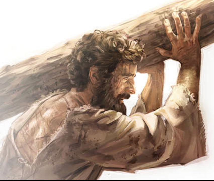 Memorial Day 2023 Jehovah Witness