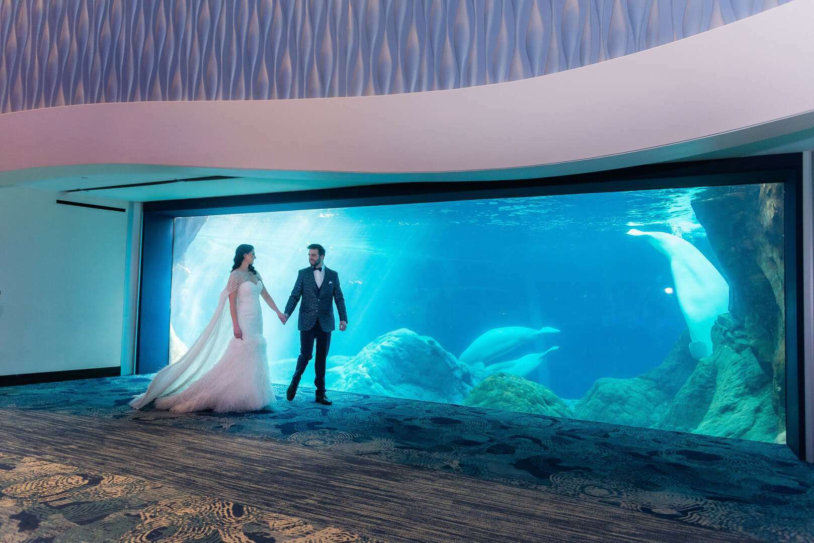 Atlanta Wedding Extravaganza | Georgia Aquarium | UpcomingEvents.com