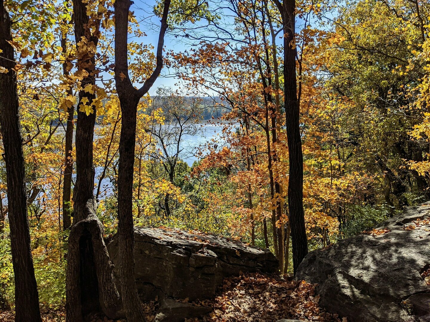 Missouri Fall Hiking Jefferson County Library Arnold Branch