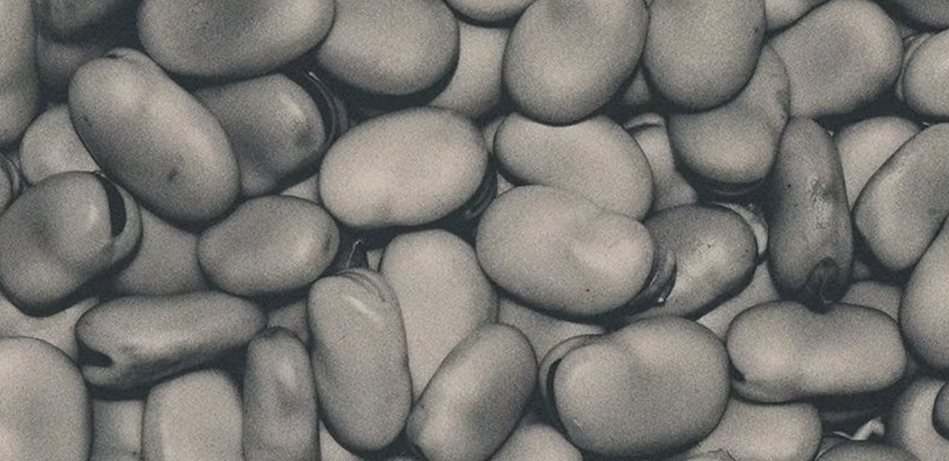Large