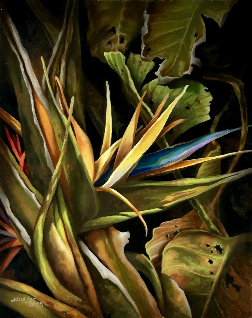 Large