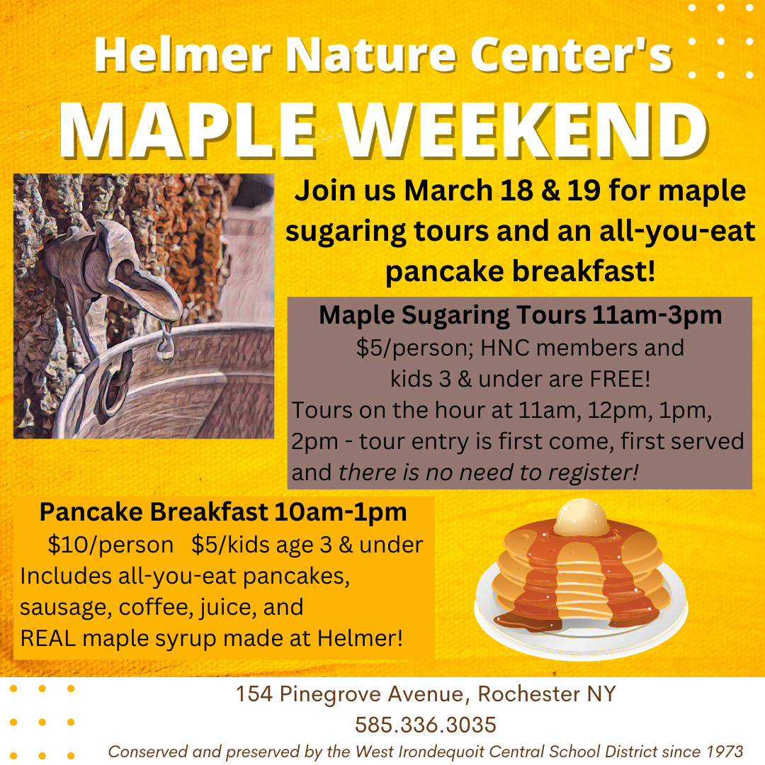Maple Weekend at Helmer Nature Center | Helmer Nature Center |  UpcomingEvents.com