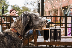 Celebrate St. Patrick's Day at Crooked Run Fermentation with LIVE Irish music!