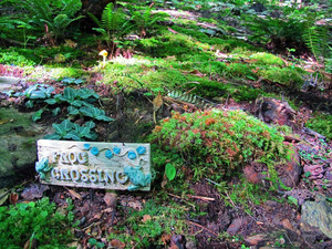 Serenity Moss Garden - Spring Flower Bloom!