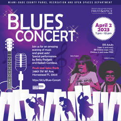 Blues Concert