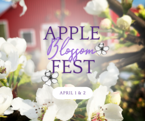 Apple Blossom Fest