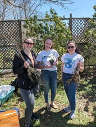 Seedling Sale Prep – Volunteer Opportunity
