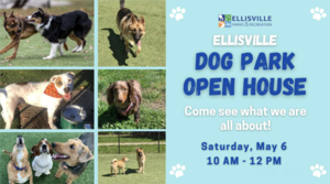 Dog Park Open House