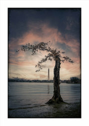 "Hope Persists" Renee C Gage Photography at Nepenthe Gallery