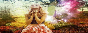Magical Forest Experiences for Lifelong Memories