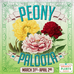 Peony Palooza