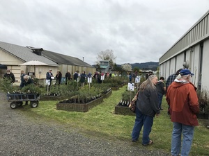 Scappoose Bay Watershed Council's Spring 2023 Native Plant Sale