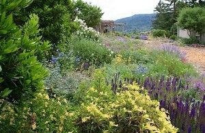 Eco-Friendly Garden Tour