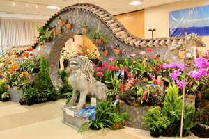 22nd Asheville Orchid Festival
