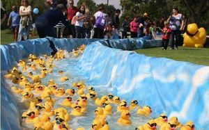 Ducky Derby 2023