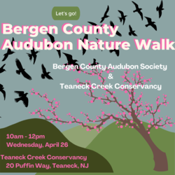 Teaneck Creek Conservancy Spring Appreciation Walk with Bergen County Audubon