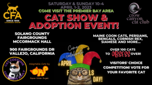 CFA Cat Show & Adoption Event
