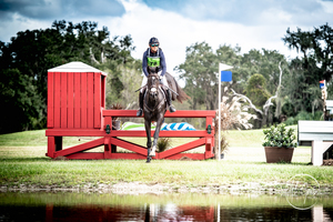 The Spring Event at TerraNova