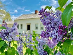 Mother’s Day At GCV&M