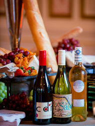 Summer WIne Tasting