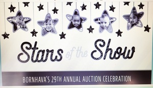 Bornhava's 29 Annual Auction