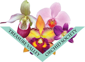 Treasure Valley Orchid Society's 39th Annual Show and Sale