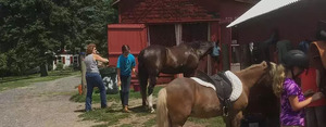 FAMILY FUN: Flint Hill FARM ED. CENTER- OPEN HOUSE, Saturday, MAY 6 (10am - 4pm) Pony rides, Petting