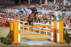 Devon Horse Show & Country Fair