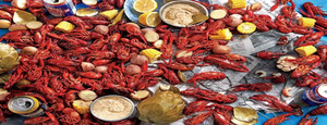 Crawdads for Merica 8