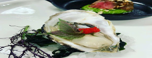 Hanson of Sonoma Ginger Launch Party with Sushimotos