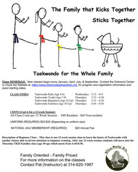 Taekwondo Beginners (ages 10-100)