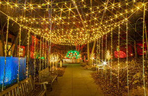 Winter Lights, Family Night