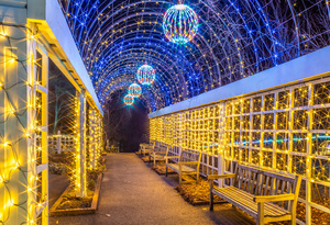 Winter Lights - Date Night