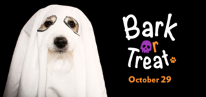 Dog Date: Bark or Treat