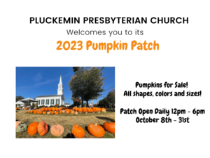 Pumpkin Patch at Pluckemin Presbyterian Church