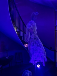 "Night at the Mansion Halloween Haunt" Returns to Linden Place