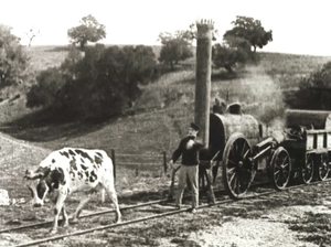 Fall Vintage Film Night at the Odd Fellows