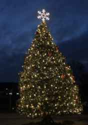 The Eureka Tree Lighting Ceremony