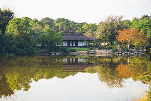 Morikami Museum Presents Taste of Asia: A Culinary Trip
