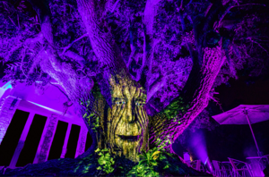 NightGarden Miami: A Magical Light Spectacular
