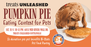 Pumpkin Pie Eating Contest for Pets!