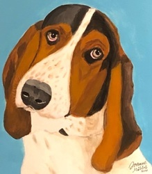 Paint Your Pet