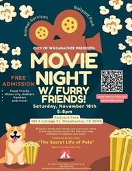 Movie Night with Furry Friends