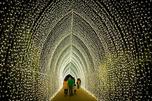 Make Spirits Bright This Holiday Season at Lightscape