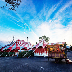 Flynn Creek Circus