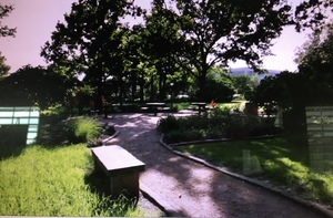Field Trip to Israel Prayer Garden