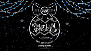 Winter Light Spectacular