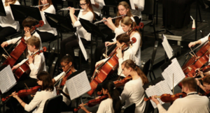The St. Charles County Youth Orchestra Video Auditions