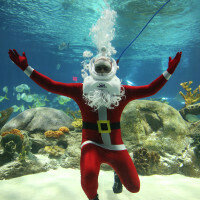 Winter Waterland® at OdySea Aquarium