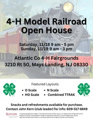 4-H Model Train Show